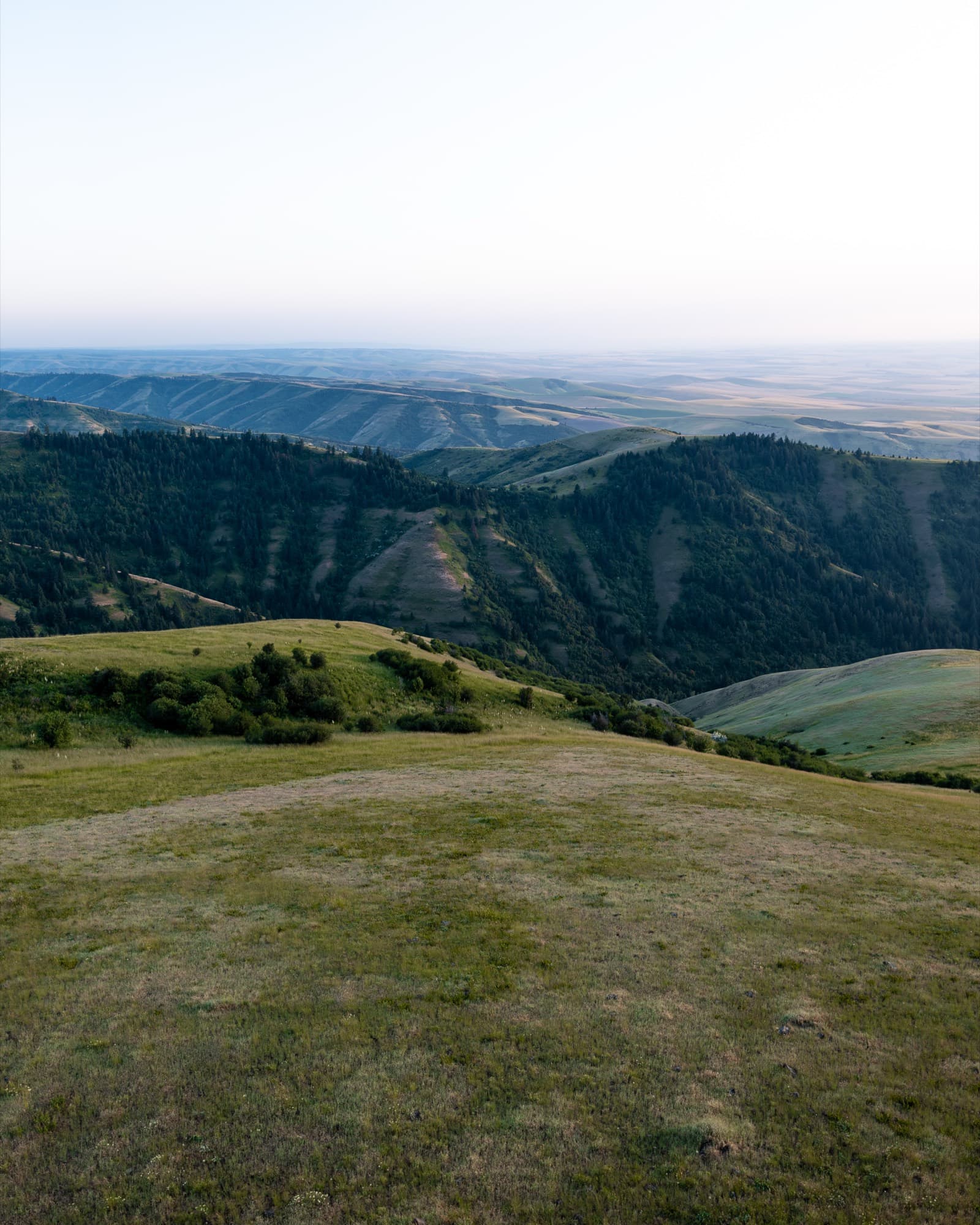 The Blue Mountains above the valley