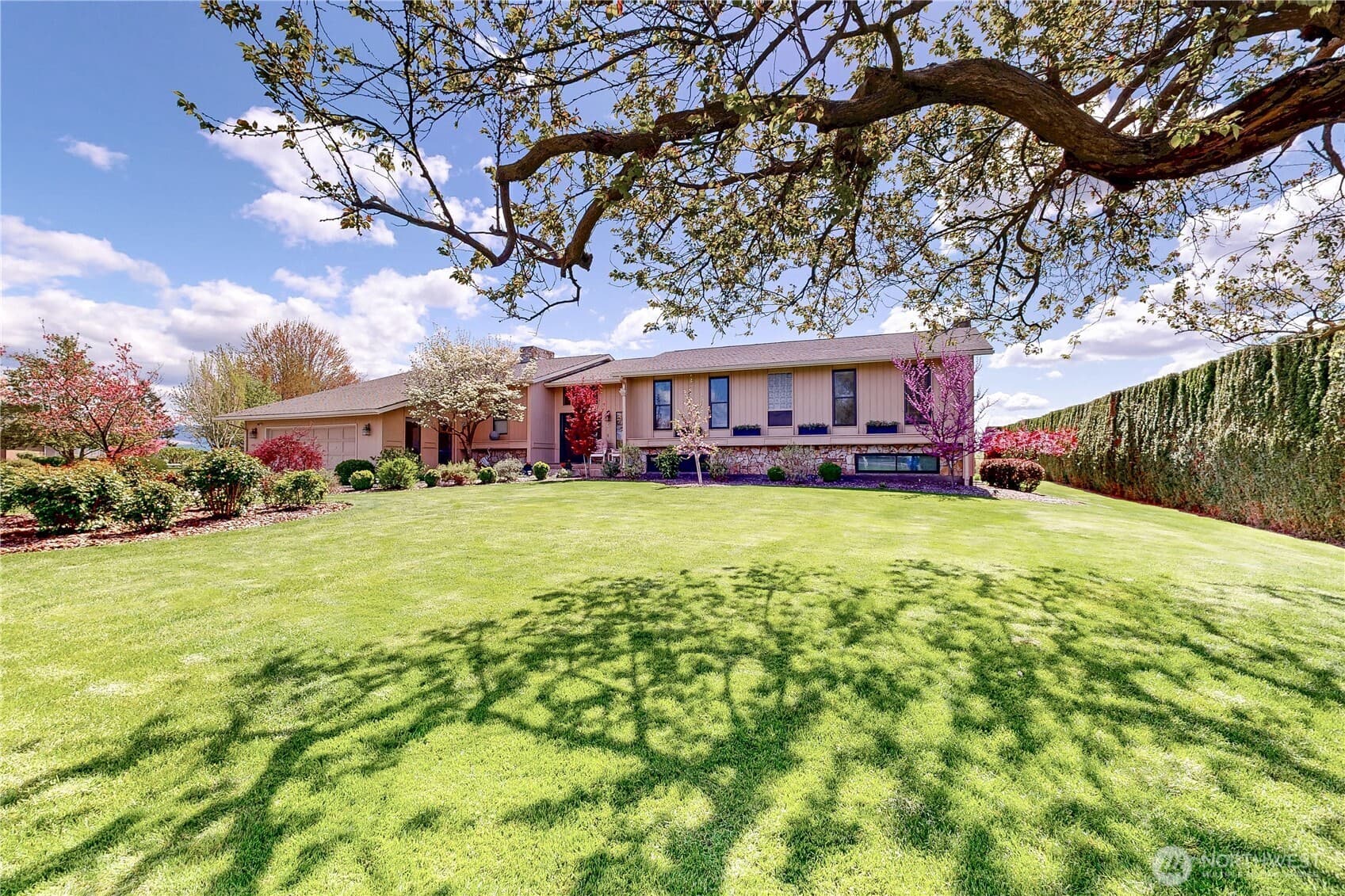 1965 Gray Lynn Drive